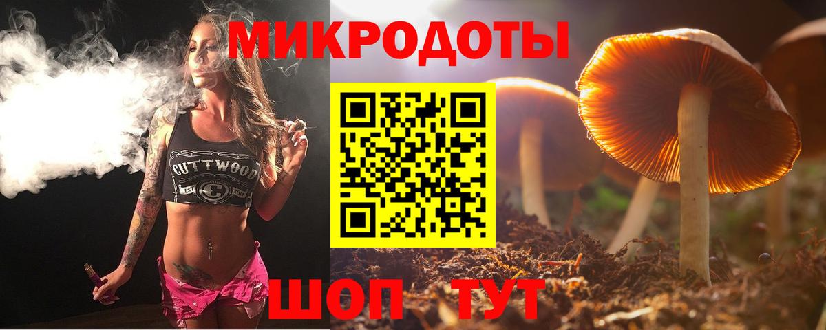 Псилоцибиновые грибы Psilocybine cubensis  что такое   Дмитров  Вход с VPN 