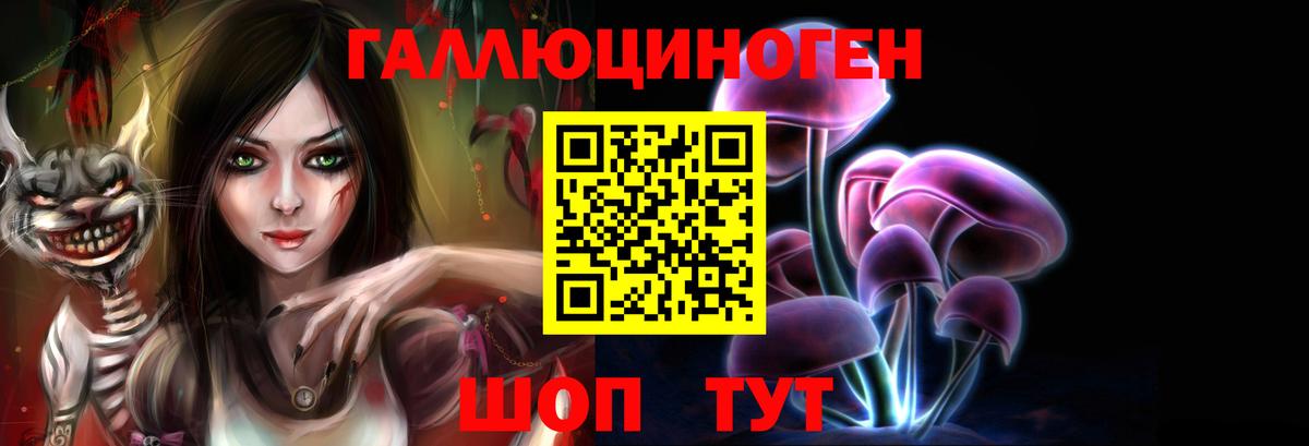 Псилоцибиновые грибы мицелий Дмитров